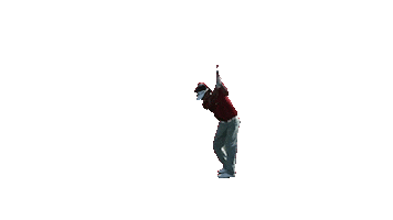 Bubba Watson Sticker by ProSport Management