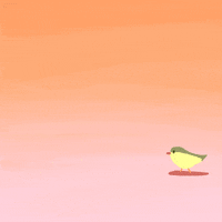 Early Worm Gets The Bird Flash GIF