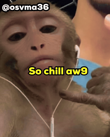 Monkey Face GIF