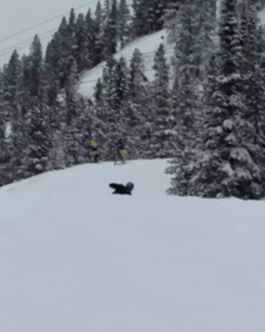 Snowboarding GIF