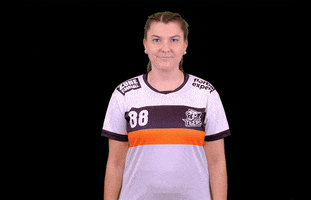 PragueTigers GIF