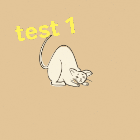 測試 GIF