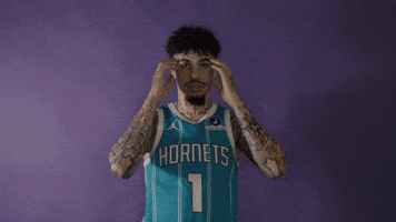 Lamelo Ball Basketball GIF by Charlotte Hornets