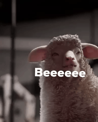 Beeeeee GIF