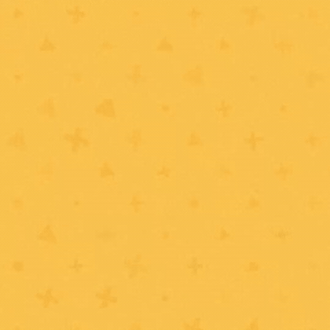 Bike Bicycle GIF