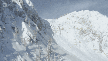 Snow Weather GIF by PBS Digital Studios