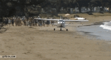 beach plane GIF