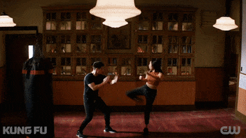Chinese Fighting GIF by CW Kung Fu