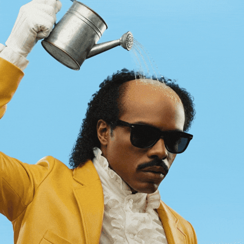 Ammonius Bald GIF by Jukebox Saints