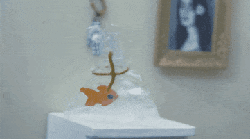 Stop Motion Fish GIF by Sad13