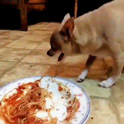 Spaghetti and black holes