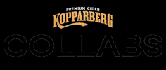 Drinks Collab GIF by KopparbergUK