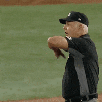 Baseball-is-funny-lol GIFs - Get the best GIF on GIPHY