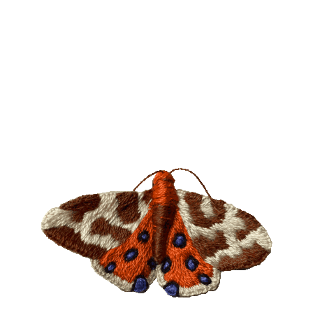 Fly Butterfly Sticker by bemmimosa