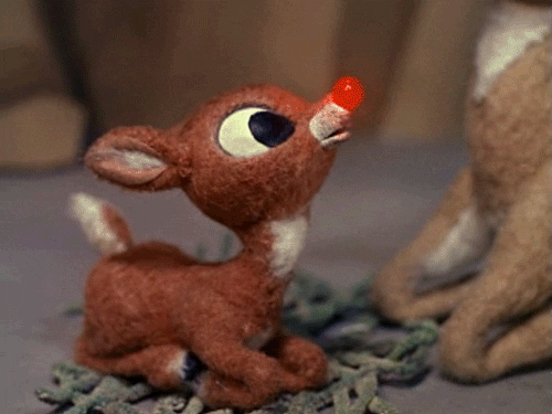 Image result for rudolph the red nosed reindeer gif