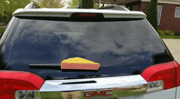 Cheesehead GIF by WiperTags Wiper Covers