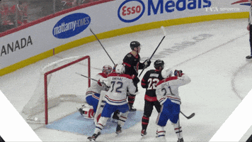 Ottawa GIF