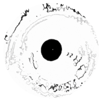 Sticker by Brows by Bellie