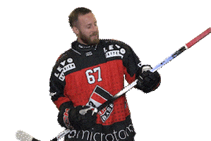 Sticker by EHC Basel