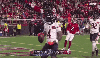 Chicago Bears Football GIF