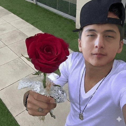 Mansur GIF