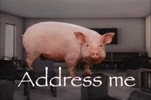 Becomeanobody Pih Address Me GIF