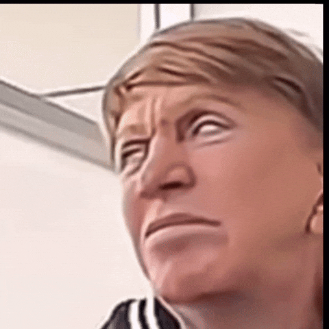 giphy.gif?cid=9b38fe91ec4682ff5e3fc835bd