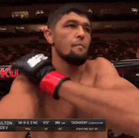 Ufc Uzbek GIF