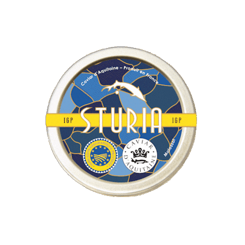 Gourmet Gastronomy Sticker by Caviar Sturia