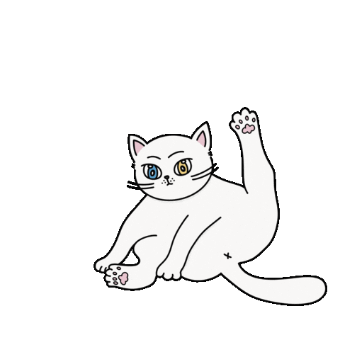 Cat Sticker