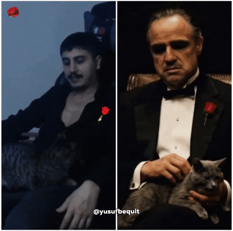 The Godfather Yozgat GIF