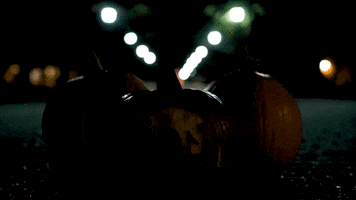 Trick Or Treat Halloween GIF by Texas A&M University