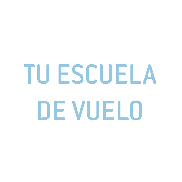 Piloto Aire Sticker by VirtualFly