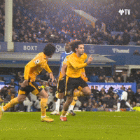 WolvesFC-premier-league-wolves-wolverhampton-wanderers-JN1gNBWLuGdaAMclC7