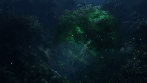 forest water gif