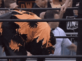 Wrestling GIF