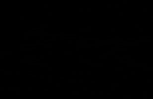 lorenzosampaolesi GIF