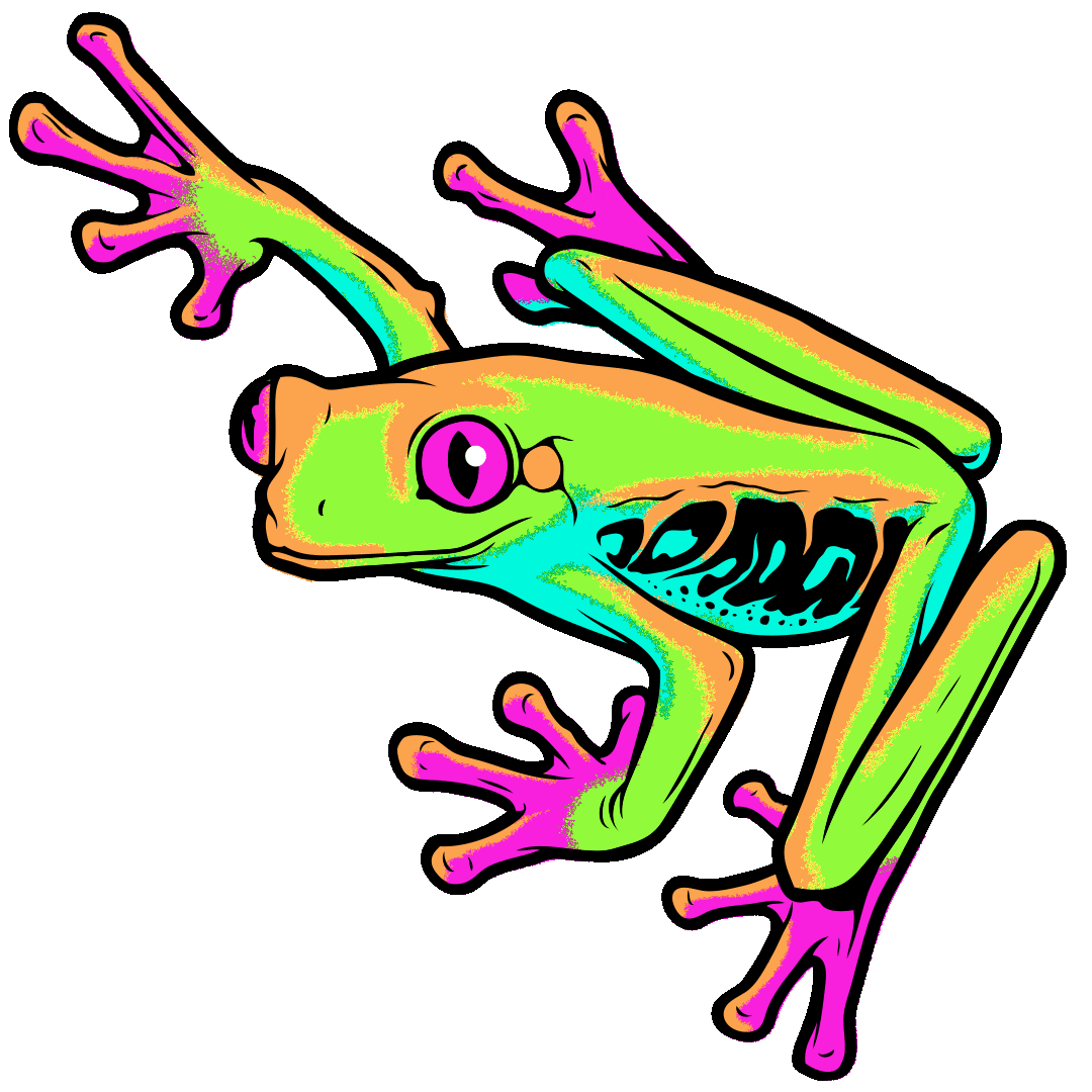 Tree Frog Eyes Sticker by Insomniac Events for iOS & Android GIPHY