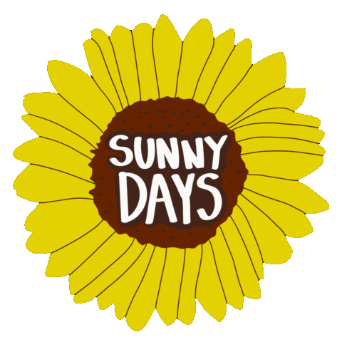 Sun Sunshine Sticker by kaylaannephotographystl