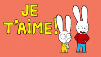 simon-superrabbit-simon-simonsuperlapin-simonlapin-JOYaDEPtSL5DRKew6V