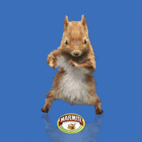 MarmiteOfficial-squirrel-marmite-JOiVbcrColZo1oaXDT