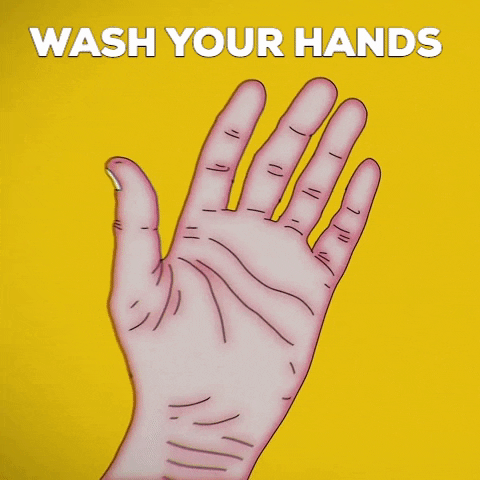 Wash Hands Hand GIF by Cappa Video Productions