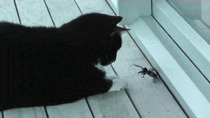 Stay friends while you can.