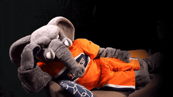 Tired College GIF by Cal State Fullerton