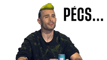 Alex Sing Sticker by xfaktorhun