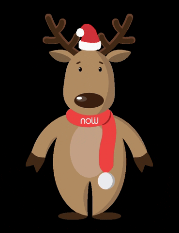 NORDICWAYS travel now natal reindeer GIF