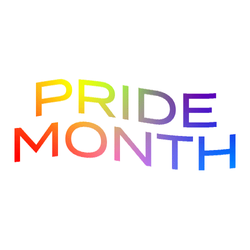 Pride Lgbt Sticker by Vevo