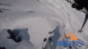 Snowcountry snow ski powder freeride GIF