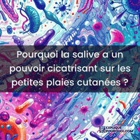 expliquepourquoi-facteurs-de-croissance-salive-cicatrisante-proprits-JPeOEbdXQpnqzUokkG