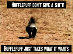 Image result for hufflepuff gif